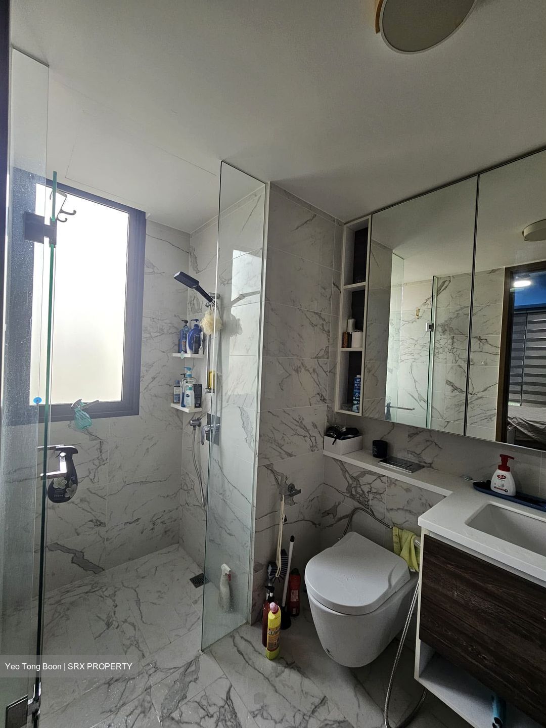 Parc Botannia (D28), Condominium #628389371